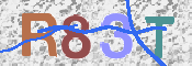 画像に表示された文字を入力して下さい