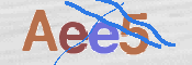 画像に表示された文字を入力して下さい