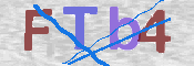 画像に表示された文字を入力して下さい
