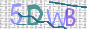 画像に表示された文字を入力して下さい