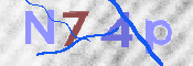画像に表示された文字を入力して下さい