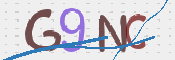 画像に表示された文字を入力して下さい
