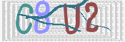 画像に表示された文字を入力して下さい