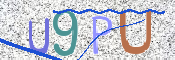 画像に表示された文字を入力して下さい