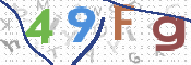 画像に表示された文字を入力して下さい