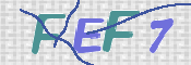 画像に表示された文字を入力して下さい