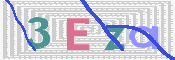 画像に表示された文字を入力して下さい