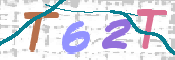 画像に表示された文字を入力して下さい