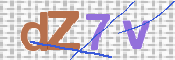 画像に表示された文字を入力して下さい