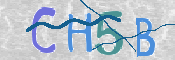 画像に表示された文字を入力して下さい