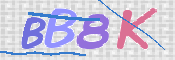 画像に表示された文字を入力して下さい