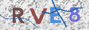 画像に表示された文字を入力して下さい