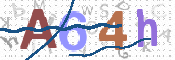 画像に表示された文字を入力して下さい