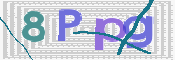 画像に表示された文字を入力して下さい
