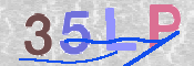 画像に表示された文字を入力して下さい