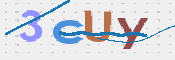 画像に表示された文字を入力して下さい