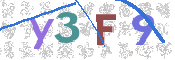 画像に表示された文字を入力して下さい