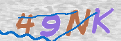 画像に表示された文字を入力して下さい