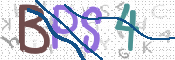 画像に表示された文字を入力して下さい