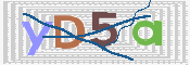 画像に表示された文字を入力して下さい