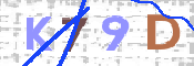 画像に表示された文字を入力して下さい