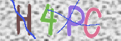 画像に表示された文字を入力して下さい