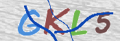 画像に表示された文字を入力して下さい
