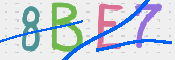 画像に表示された文字を入力して下さい