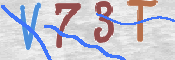 画像に表示された文字を入力して下さい