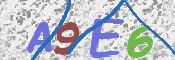 画像に表示された文字を入力して下さい