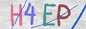 画像に表示された文字を入力して下さい