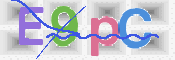 画像に表示された文字を入力して下さい