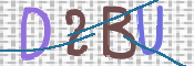 画像に表示された文字を入力して下さい