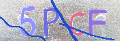 画像に表示された文字を入力して下さい