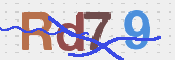 画像に表示された文字を入力して下さい