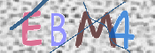 画像に表示された文字を入力して下さい