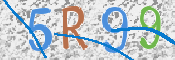画像に表示された文字を入力して下さい