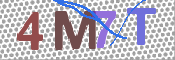 画像に表示された文字を入力して下さい