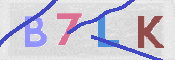 画像に表示された文字を入力して下さい