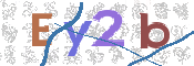 画像に表示された文字を入力して下さい