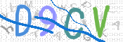 画像に表示された文字を入力して下さい