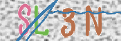 画像に表示された文字を入力して下さい