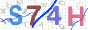 画像に表示された文字を入力して下さい