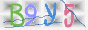 画像に表示された文字を入力して下さい