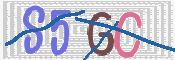 画像に表示された文字を入力して下さい