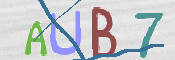 画像に表示された文字を入力して下さい