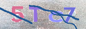 画像に表示された文字を入力して下さい