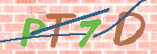 画像に表示された文字を入力して下さい