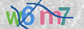 画像に表示された文字を入力して下さい
