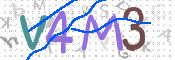 画像に表示された文字を入力して下さい